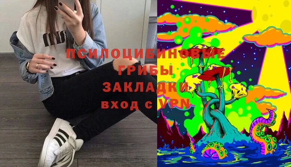 a pvp Абинск
