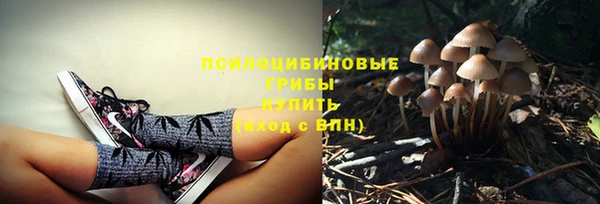 гидропоника Абдулино