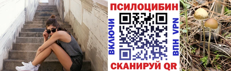 где можно купить наркотик Назрань Псилоцибиновые грибы Cubensis