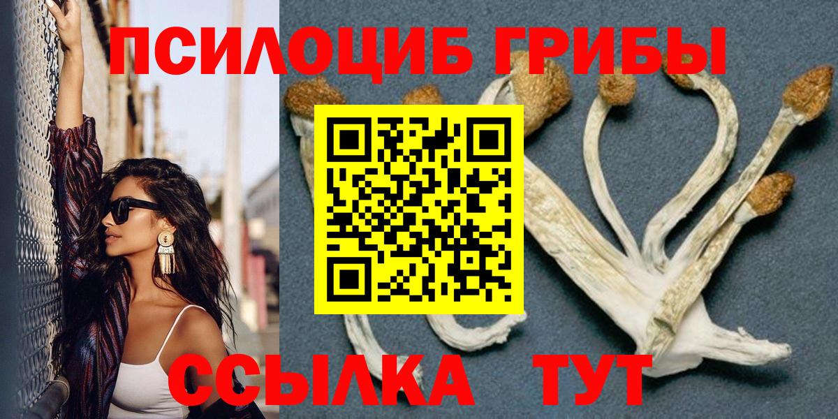 Назрань  Псилоцибиновые грибы Cubensis  Вход с VPN  Псилоцибиновые грибы Cubensis 