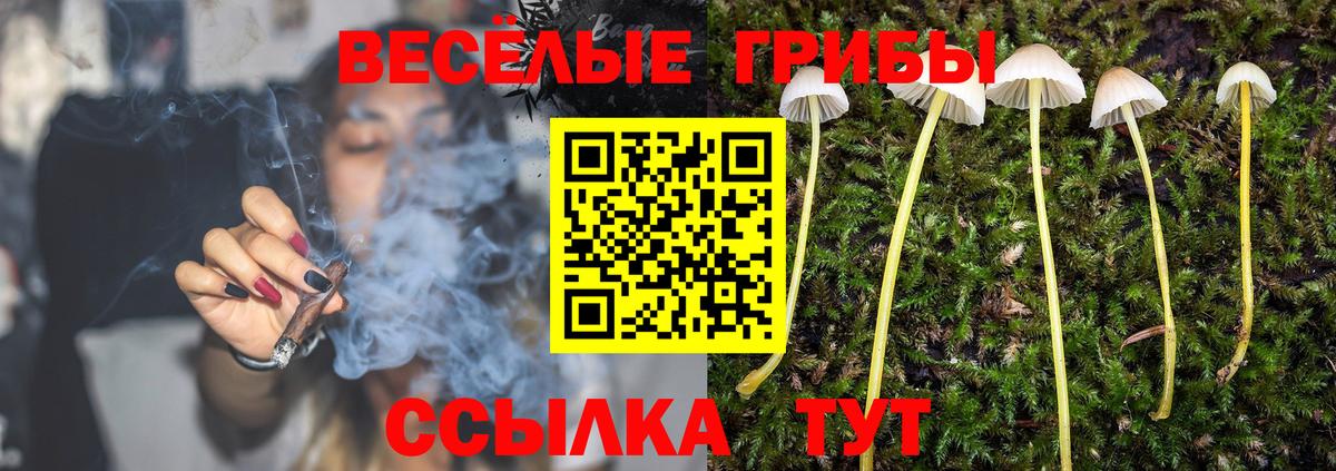 Галлюциногенные грибы ЛСД Назрань